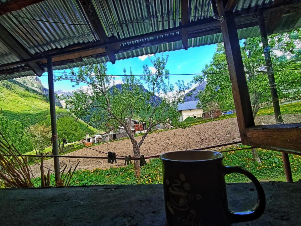 Guesthouse Mamuka Zhabesh Zhabeshi 外观 照片