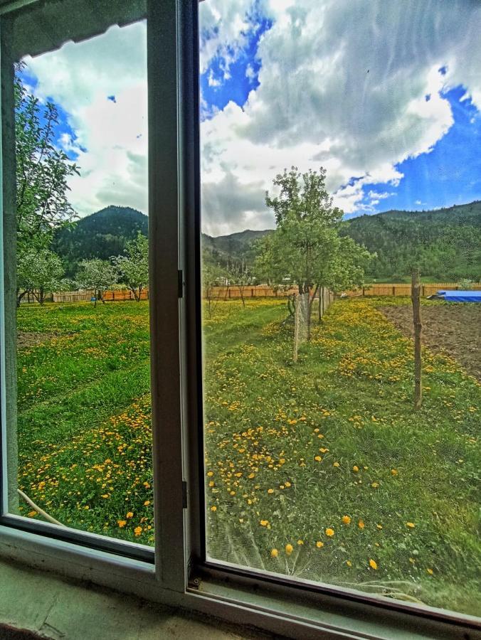 Guesthouse Mamuka Zhabesh Zhabeshi 外观 照片