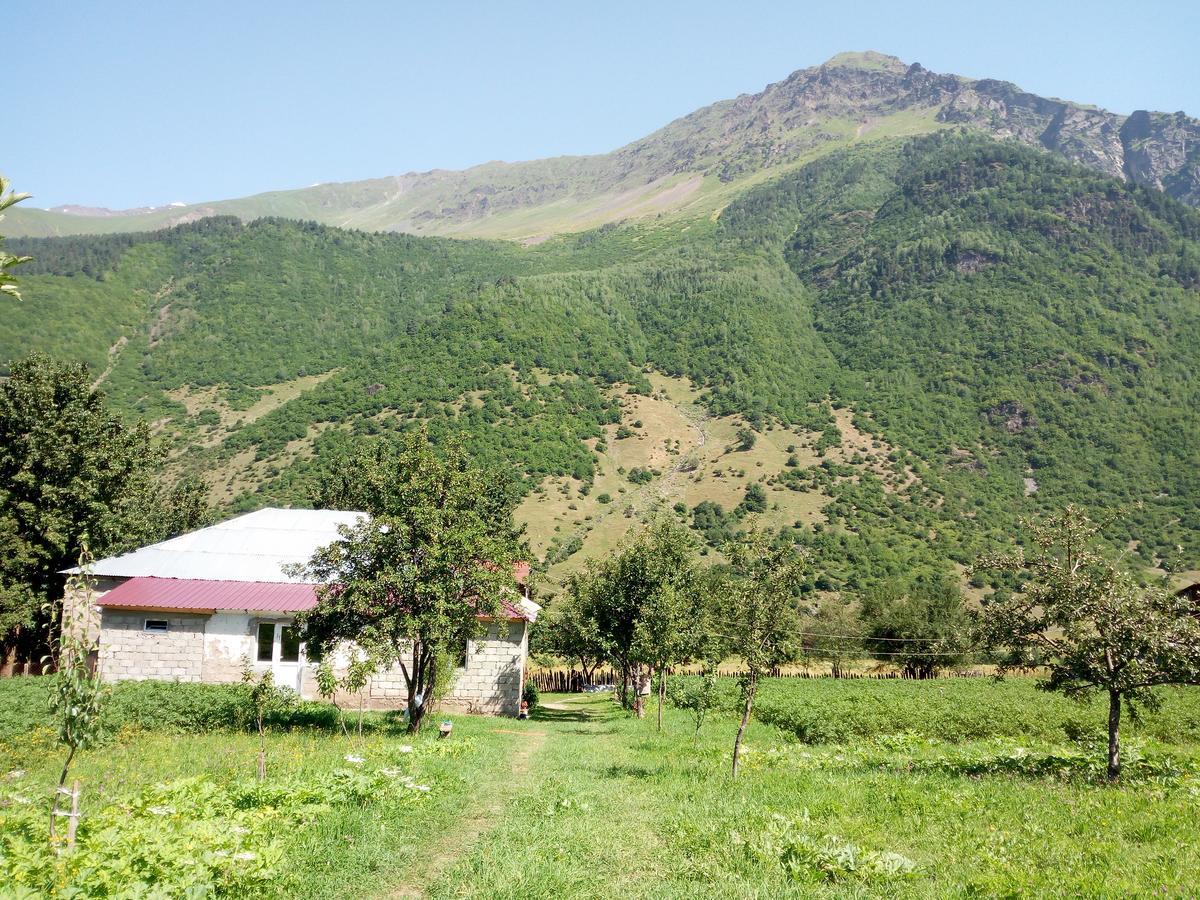 Guesthouse Mamuka Zhabesh Zhabeshi 外观 照片