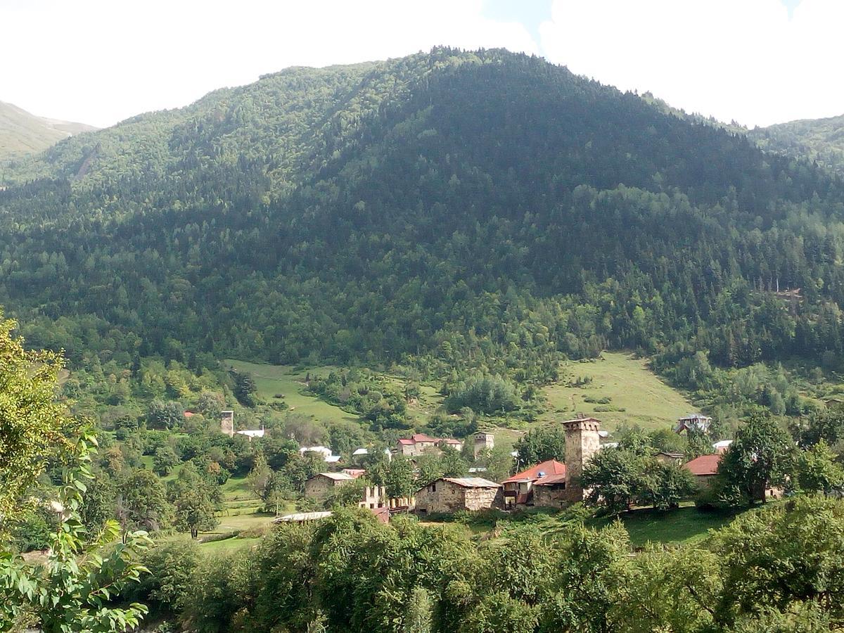 Guesthouse Mamuka Zhabesh Zhabeshi 外观 照片